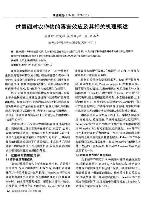 过量硼对农作物的毒害效应及其相关机理概述
