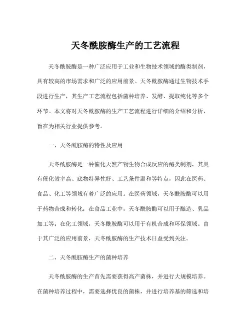 天冬酰胺酶生产的工艺流程