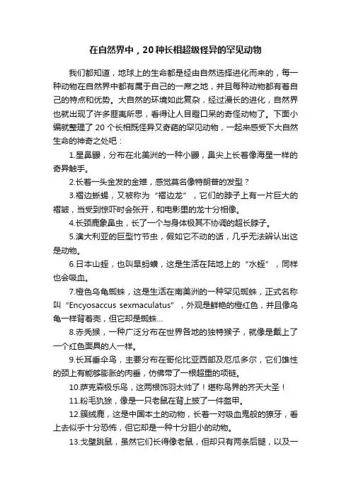 在自然界中，20种长相超级怪异的罕见动物