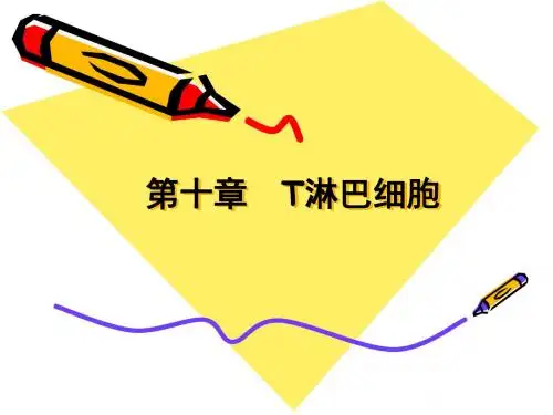 第十章 T淋巴细胞