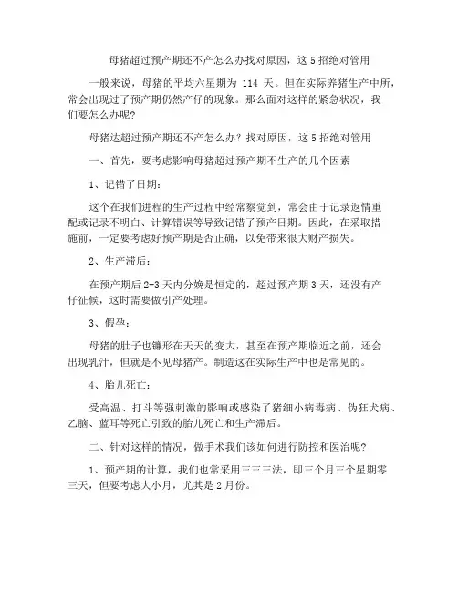 母猪超过预产期还不产怎么办找对原因,这5招绝对管用