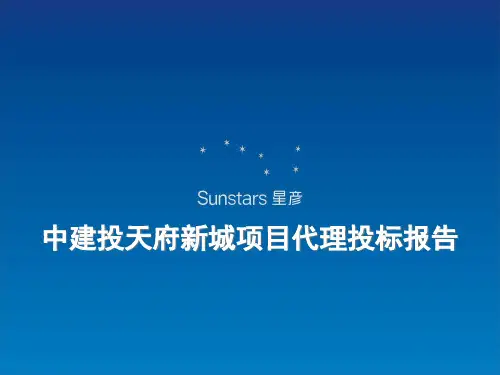 中建投项目投标报告