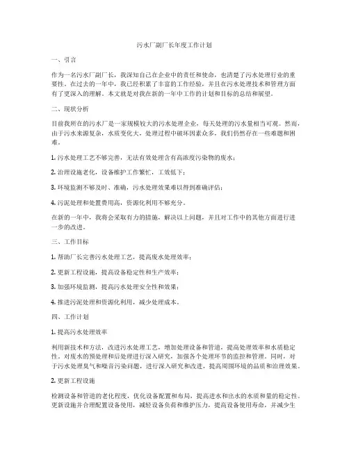 污水厂副厂长年度工作计划