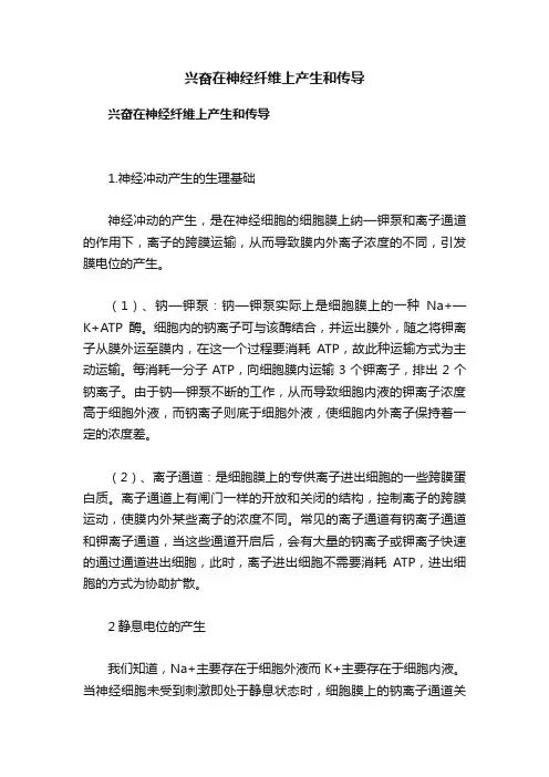兴奋在神经纤维上产生和传导