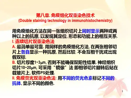 08 免疫组化双重染色技术汇总
