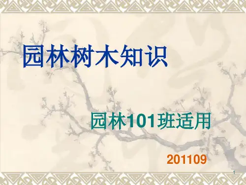 园林树木分类PPT课件
