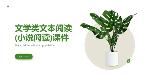 文学类文本阅读(小说阅读)课件