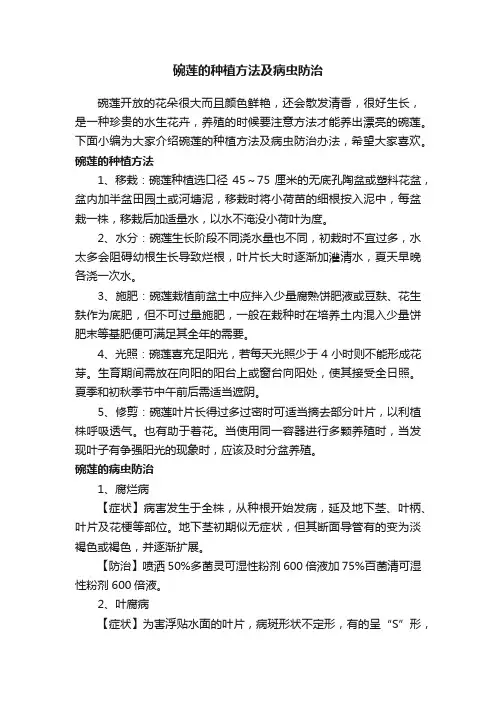 碗莲的种植方法及病虫防治