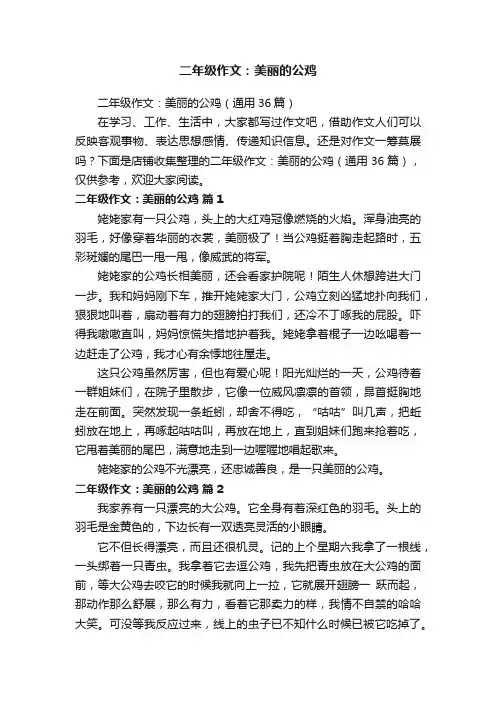 二年级作文：美丽的公鸡