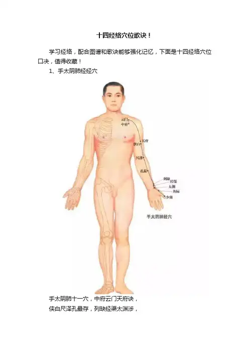 十四经络穴位歌诀！