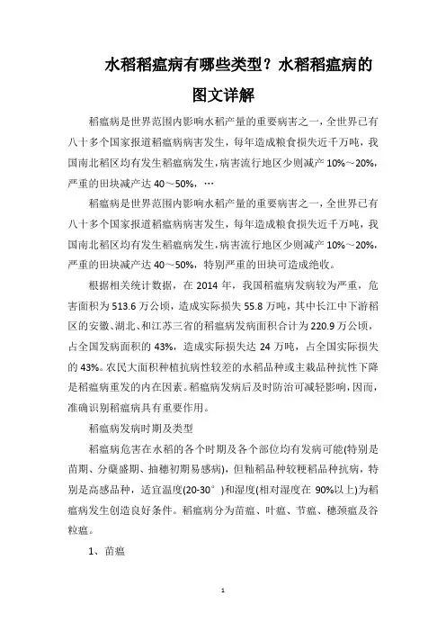水稻稻瘟病有哪些类型？水稻稻瘟病的图文详解