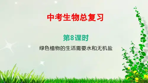 最新中考生物总复习——第08课时 绿色植物的生活需要水和无机盐