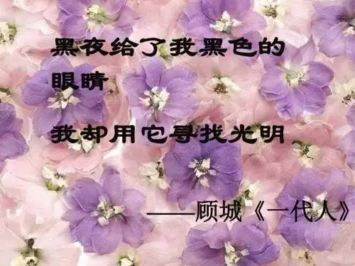 《盲孩子和他的影子》课件