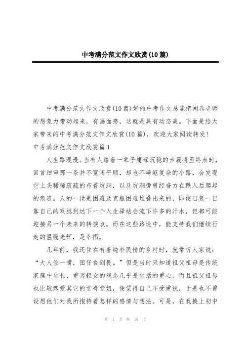中考满分范文作文欣赏(10篇)