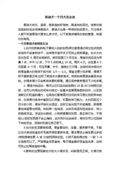 泰迪犬一个月大怎么养