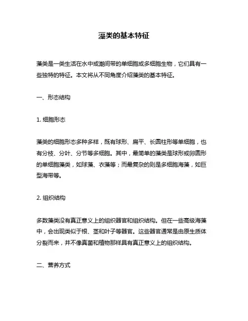 藻类的基本特征