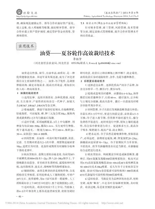 油葵_夏谷轮作高效栽培技术