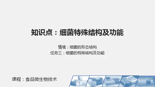 06-细菌特殊结构及功能