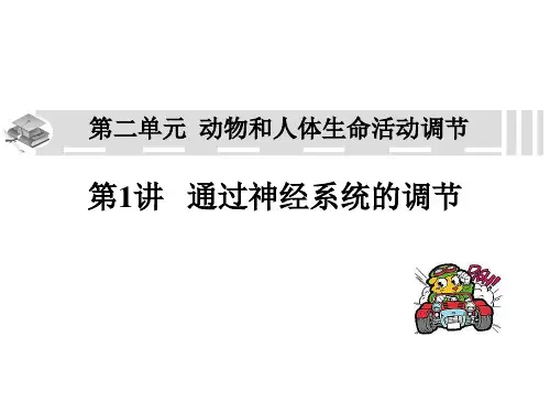 人教版教学课件第2章第1节神经调节.复习ppt