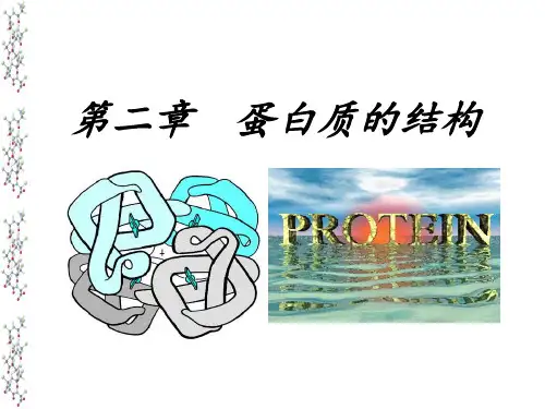 杨荣武生物化学蛋白质的结构