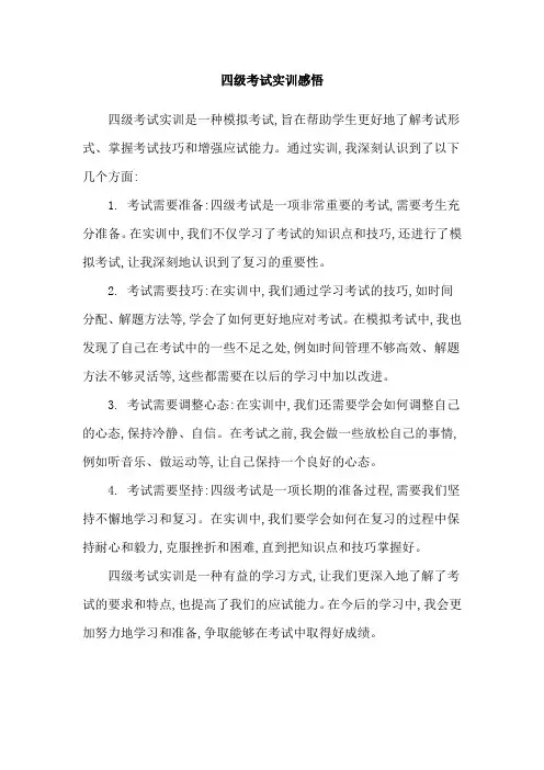 四级考试实训感悟