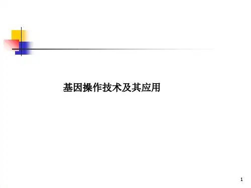 分子生物学分子克隆技术