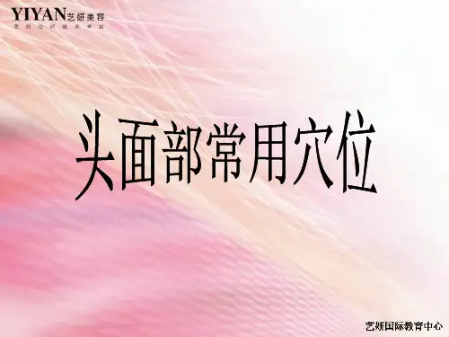 头面部常用美容穴ppt课件