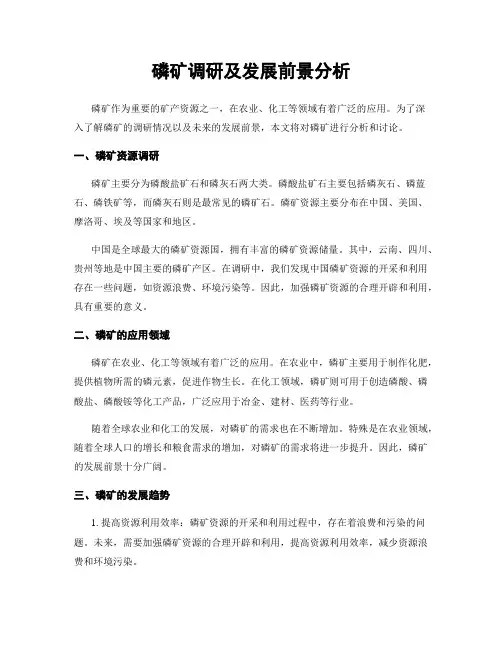 磷矿调研及发展前景分析