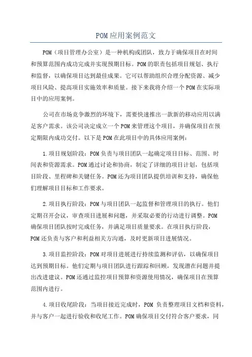 POM应用案例范文