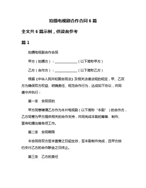 拍摄电视剧合作合同6篇