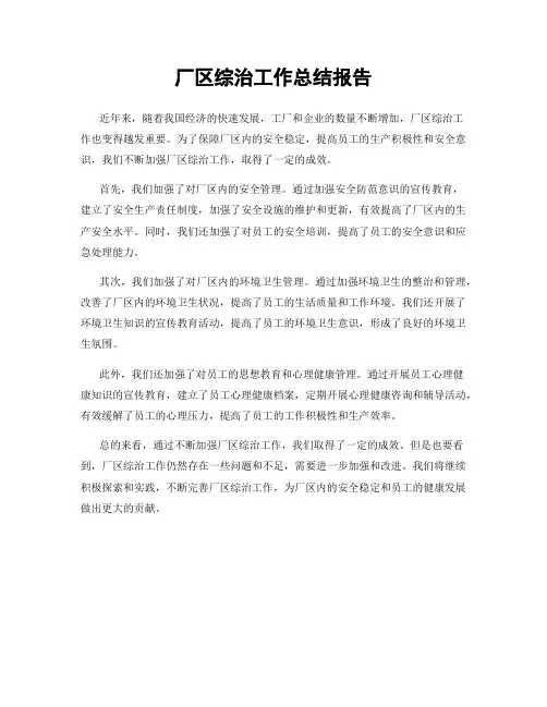 厂区综治工作总结报告