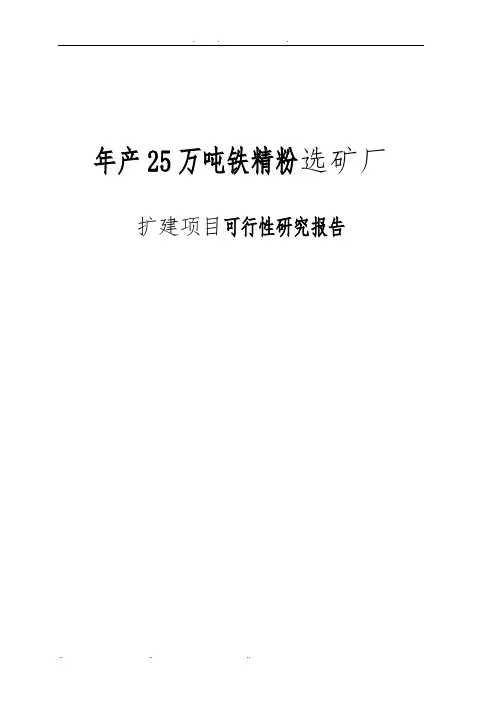 年产25万吨铁精粉选矿厂扩建项目可行性实施报告