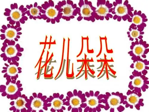 小学二年级美术下册 花儿朵朵名师公开课省级获奖课件3 苏少版