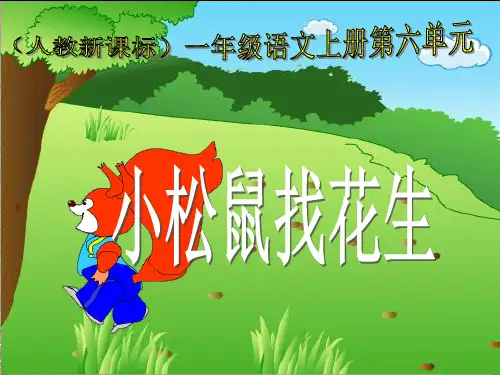 13816小松鼠找花生PPT课件