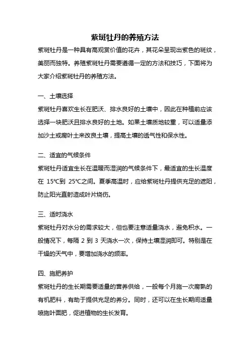紫斑牡丹的养殖方法