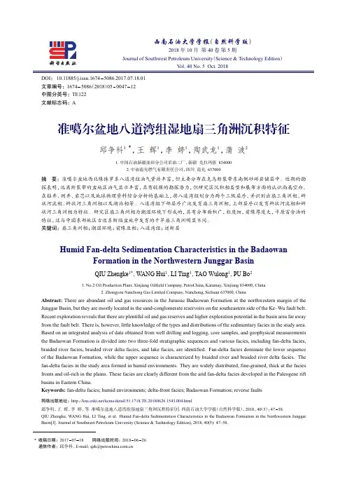 准噶尔盆地八道湾组湿地扇三角洲沉积特征