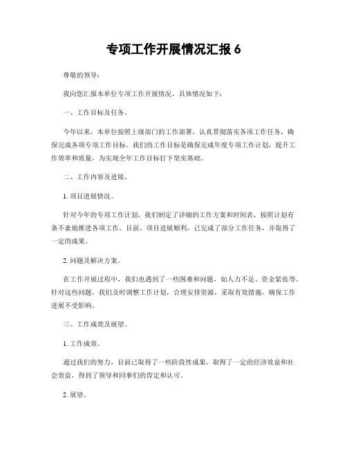 专项工作开展情况汇报6