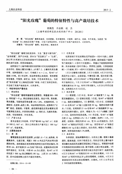 “阳光玫瑰”葡萄的特征特性与高产栽培技术