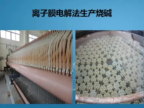 离子膜电解法生产烧碱