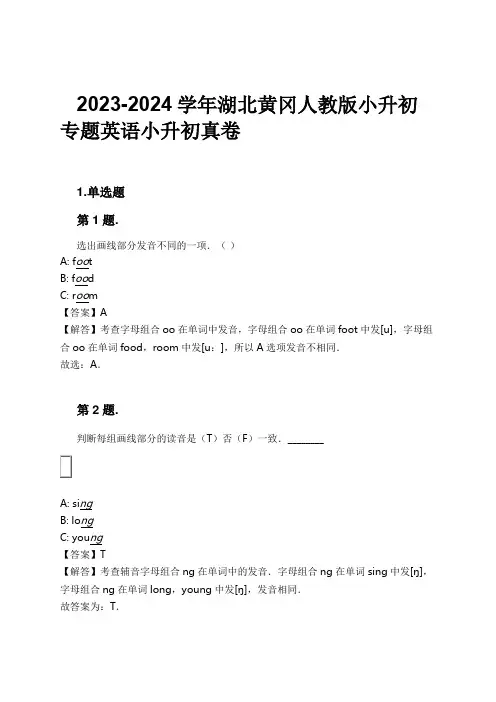2023-2024学年湖北黄冈人教版小升初专题英语小升初真卷习题及解析