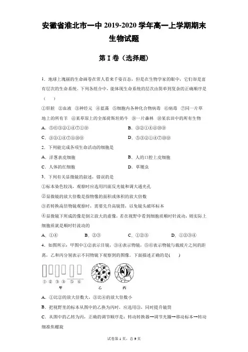 安徽省淮北市一中2019-2020学年高一上学期期末生物试题(带答案)