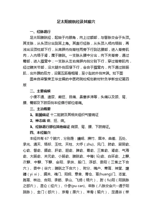 足太阳膀胱经及其腧穴
