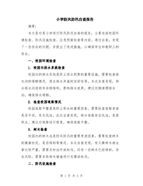 小学防风防汛自查报告