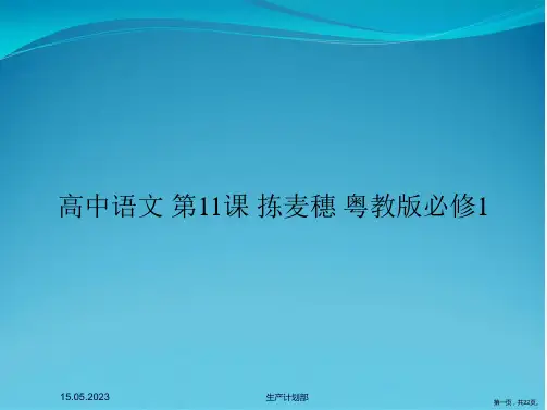 高中语文 第11课 拣麦穗 粤教版必修1