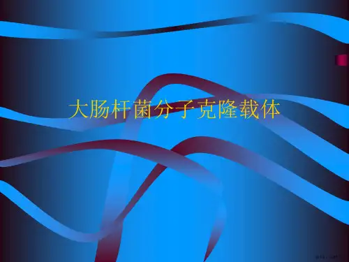 大肠杆菌分子克隆载体