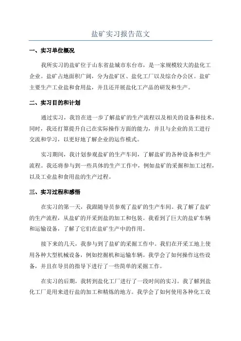 盐矿实习报告范文