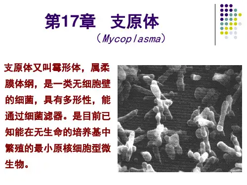 支原体(课堂PPT)