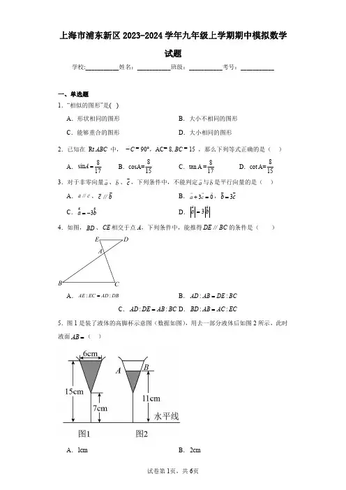 上海市浦东新区2023-2024学年九年级上学期期中模拟数学试题