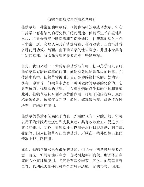 仙鹤草的功效与作用及禁忌症