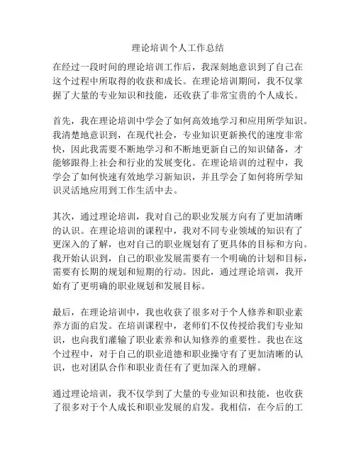 理论培训个人工作总结